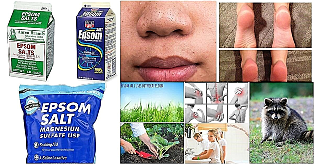 40 modi che cambiano la vita per usare il sale Epsom nella vita quotidiana