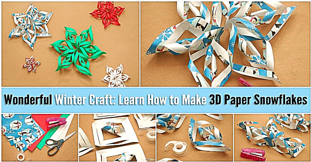 Imeline talvine käsitöö: õppige, kuidas teha 3D paberist lumehelbeid