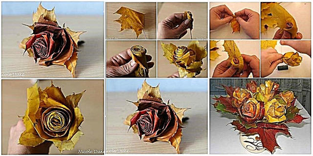Kreatywne róże z liści klonu w 6 łatwych krokach