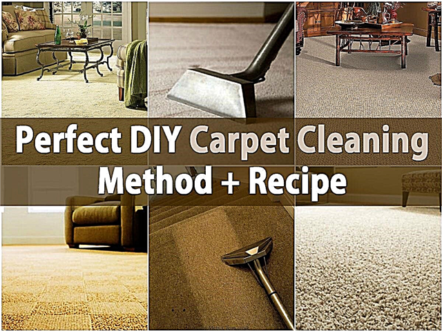 Método perfecto de limpieza de alfombras de bricolaje + receta