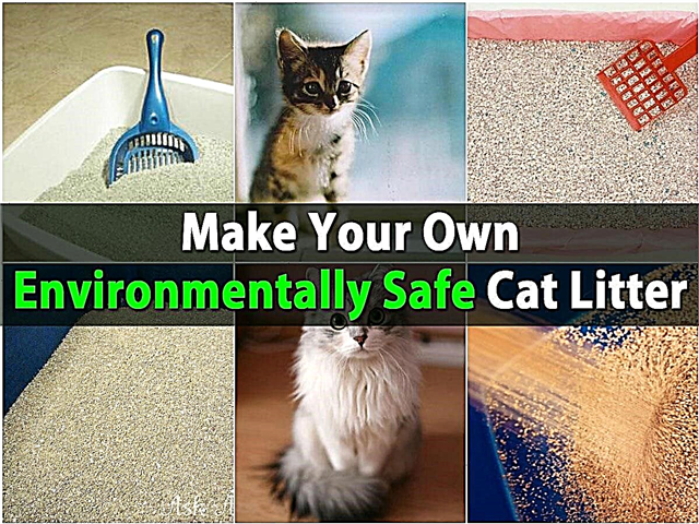 Τεράστια εξοικονόμηση χρημάτων - Δημιουργήστε τα δικά σας περιβαλλοντικά ασφαλή απορρίμματα γάτας