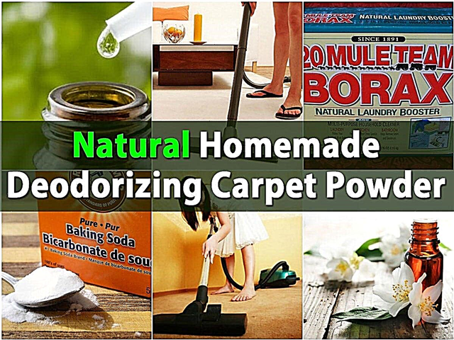 Přírodní domácí dezodorační koberec v prášku