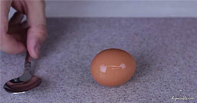 Niente più inferno da sgusciare: il modo più veloce per sbucciare un uovo usando un cucchiaio