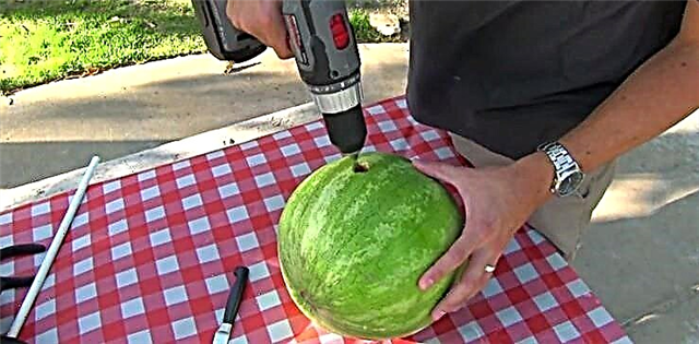 Strålande och utsökt vattenmelonsmoothie: 2 minuter och ingen röra!