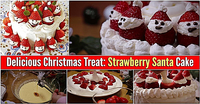 حلوى الكريسماس اللذيذة: كعكة سانتا فراولة