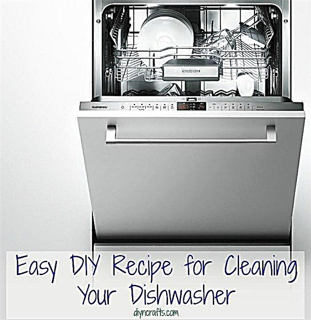 Preprost DIY recept za čiščenje pomivalnega stroja
