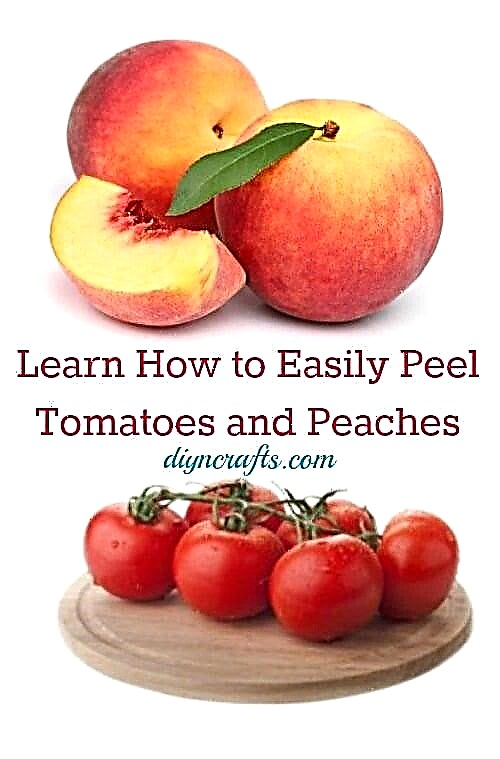 צ'יט מעולה למטבח - למד כיצד לקלף בקלות עגבניות ואפרסקים