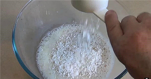 Žádná šlehačka v lednici? Vyrobte si ho sami z mléka a želatiny!
