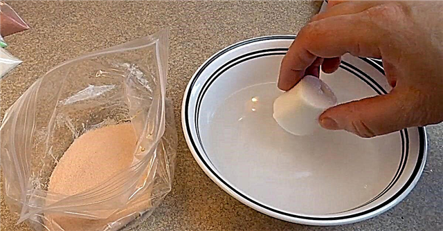 Preizkusite to hitro in enostavno sladko poslastico: Jell-O-Crusted Rainbow Marshmallows