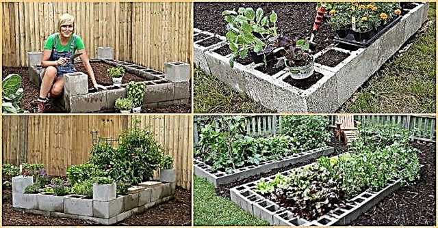 Brillantes Gartenprojekt: Wie man aus Zementblöcken ein erhöhtes Gartenbett macht