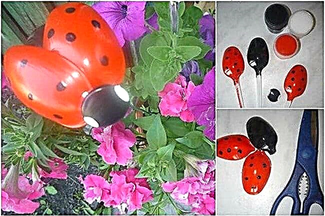 Quick Recycling Craft: Ladybugs น่ารักที่ทำจากช้อนพลาสติก
