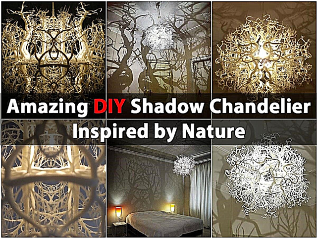 Chandelier Bayangan DIY yang Hebat Diilhamkan oleh Nature