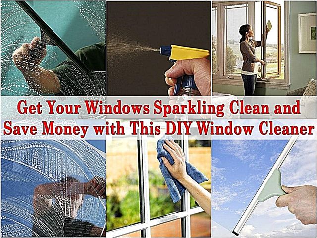 ทำให้ Windows ของคุณเป็นประกายสะอาดและประหยัดเงินด้วยเครื่องมือทำความสะอาดหน้าต่าง DIY นี้