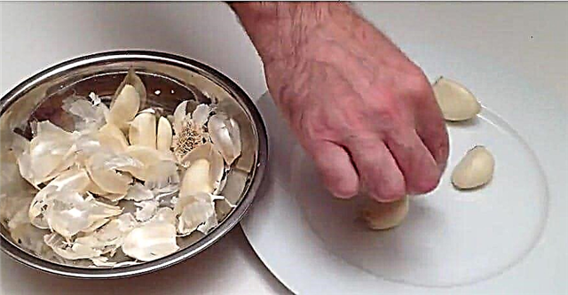 Flott matlagingstips - Hvordan skrelle et hode av hvitløk på 5 sekunder