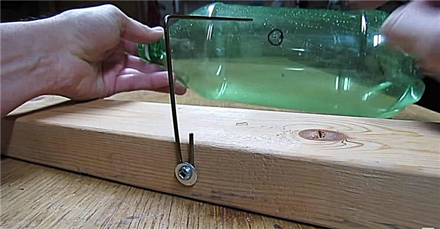 오래된 소다 병으로 간단하고 인간적인 마우스 트랩을 만드는 방법
