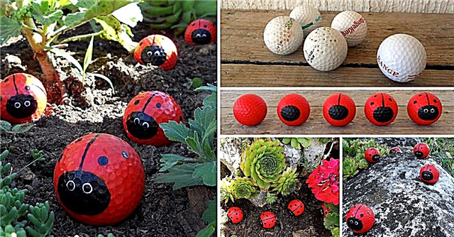 Paverskite senus golfo kamuolius mieliausiomis ladybugomis, kurias kada nors matėte
