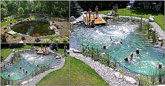 DIY Magical Outdoor: วิธีสร้างสระว่ายน้ำจากธรรมชาติทั้งหมด
