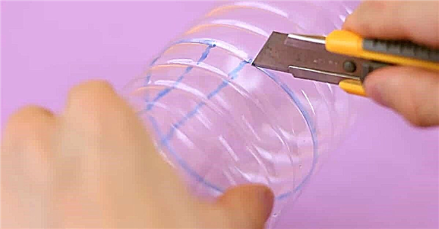 10 preprostih vdorov v plastične steklenice, ki so presenetljivo koristni