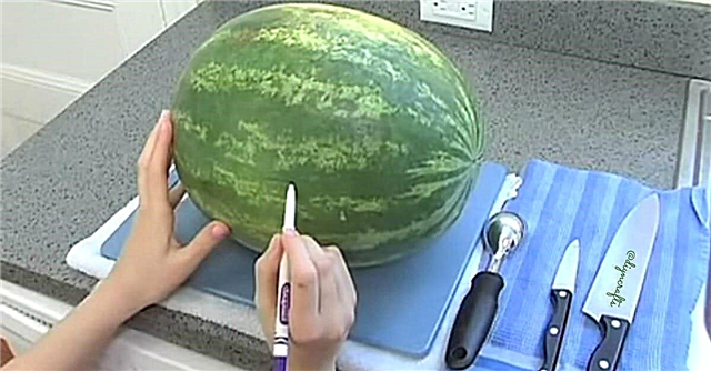 Fruitig plezier: hoe u uw eigen watermeloenmand kunt snijden
