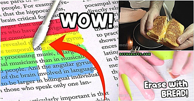 35 Beyond Genius Back-to-School Hacks to start your Year Out Right