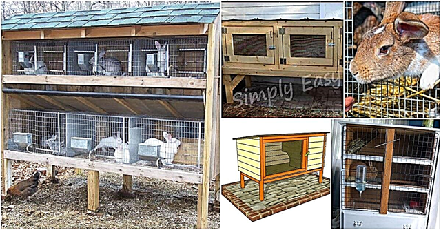 10 plans de clapier bricolage gratuits qui facilitent l'élevage de lapins