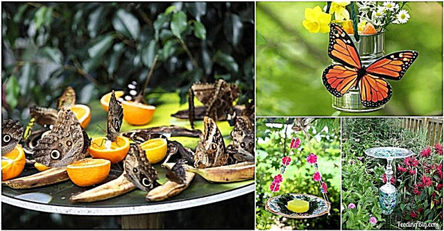 정원에 아름다움과 나비를 더해줄 DIY 나비 모이통 10 개