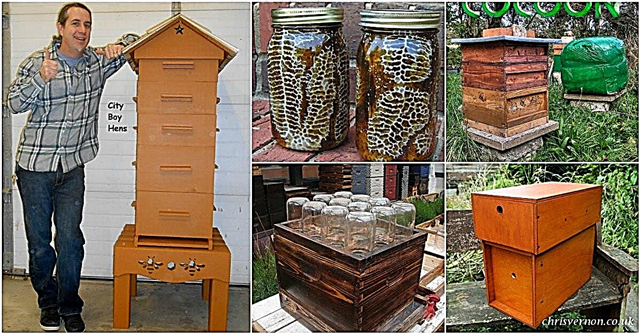 10 รังผึ้ง DIY ที่คุณสามารถเพิ่มลงในสวนหลังบ้านของคุณได้แล้ววันนี้