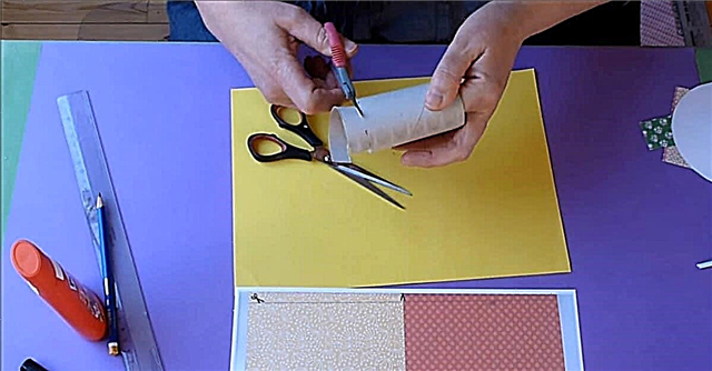 כיצד להכין את בתי הפיות הקלים האלה מגלילי נייר טואלט ריקים
