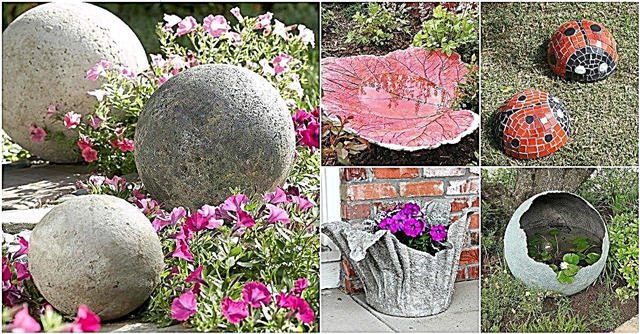 15 Đồ trang trí bê tông tự làm gần Genius giúp tăng thêm vẻ đẹp cho khu vườn của bạn