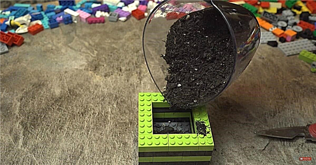 लेगो ईंटों के लिए 9 प्रतिभाशाली उपयोग जो आपको चकित कर देंगे (# 5 मेरा पसंदीदा है)