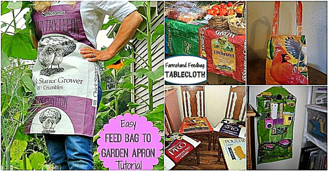 10 pametnih vrećica za hranu za kućne ljubimce prenamijeni ideje za koje biste poželjeli da prije znate