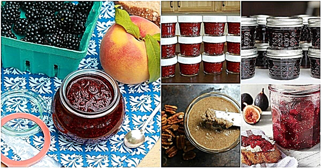 20 einfache Marmeladen- und Gelee-Rezepte, die ausgezeichnete Weihnachtsgeschenke machen