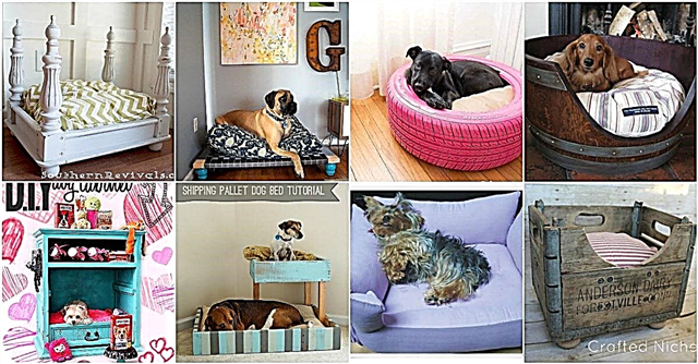 20 เตียงสุนัข DIY ง่าย ๆ และลังไม้ที่ให้คุณปรนเปรอลูกสุนัขของคุณ