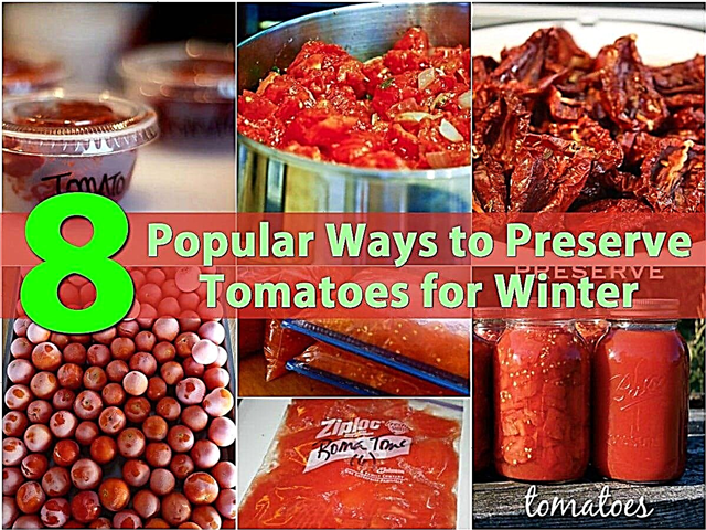 Top 8 meest populaire manieren om tomaten te bewaren voor de winter