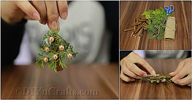 Wie man eine rustikale aromatische Weihnachtsbaumverzierung macht