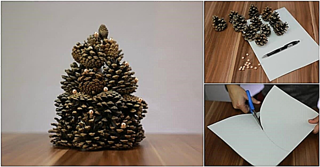 Kā no pinecones izgatavot krāšņu Ziemassvētku eglīti