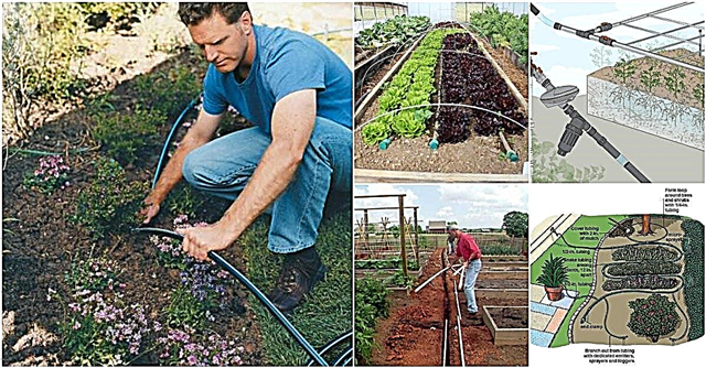 16 sistemas de irrigação DIY baratos e fáceis para um jardim com autorregulação