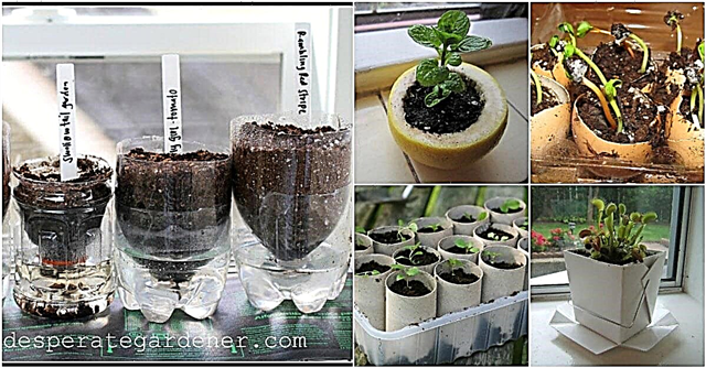 20 Upcycled Seed Starter Töpfe, die Sie ganz einfach zu Hause herstellen können