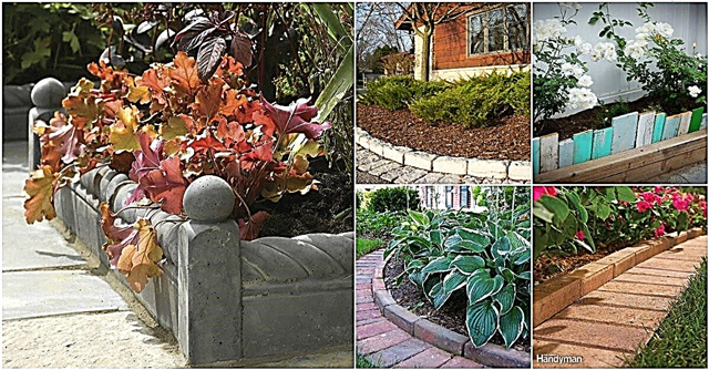 17 فكرة لتزيين الحدائق من DIY والتي تجلب الأناقة والجمال لأماكنك الخارجية