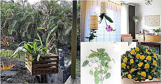 20 goedkope en gemakkelijke doe-het-zelf hangende plantenbakken die een mooie stijl toevoegen aan elke kamer