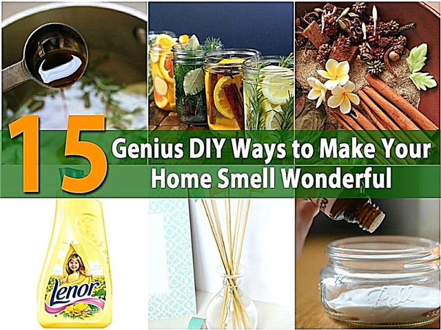 15 طريقة عبقرية لتقوم بها بنفسك لجعل رائحة منزلك رائعة
