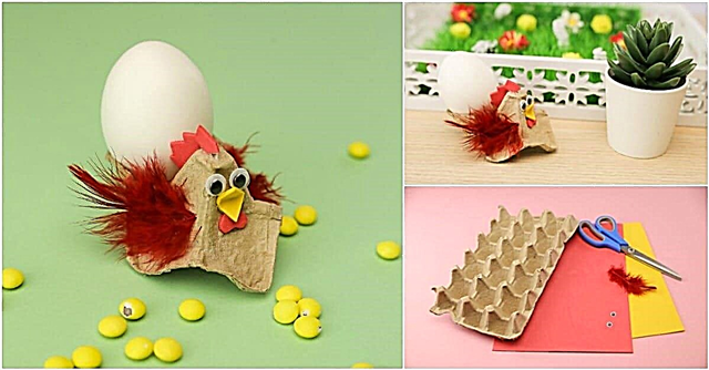 Como fazer galinhas fofas para a Páscoa fora de uma caixa de ovos