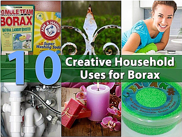 10 najbardziej kreatywnych zastosowań boraksu w gospodarstwie domowym