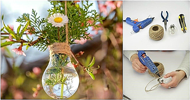 Kuinka tehdä koristeellinen hehkulamppu-istutin - helppo kevätkäsityö