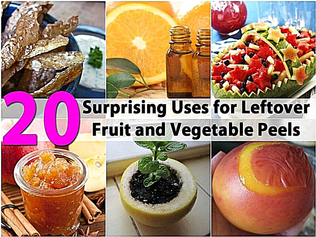 20 usos sorprendentes de las cáscaras de frutas y verduras sobrantes