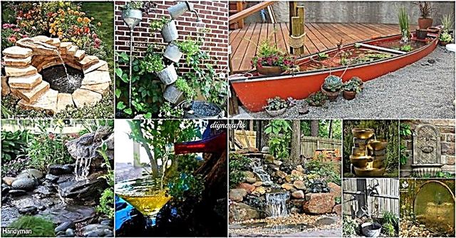 30 kreativnih i zapanjujućih karakteristika vode za ukrašavanje vašeg vrta