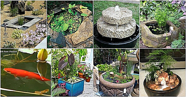 Eviniz ve Bahçeniz İçin 20 Büyüleyici Ve Ucuz Mini Su Bahçesi Fikirleri