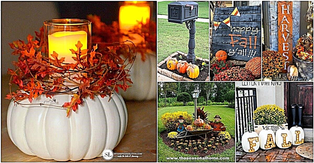 20 DIY vonkajších dekorácií na jeseň, ktoré skrášli váš trávnik a záhradu