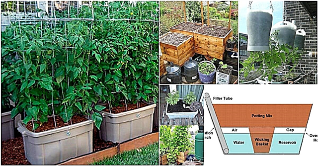 15 αυτοφυλακτικά DIY που κάνουν την κηπουρική εμπορευματοκιβωτίων εύκολη