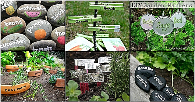 25 de markere de grădină DIY pentru a vă organiza și înfrumuseța grădina